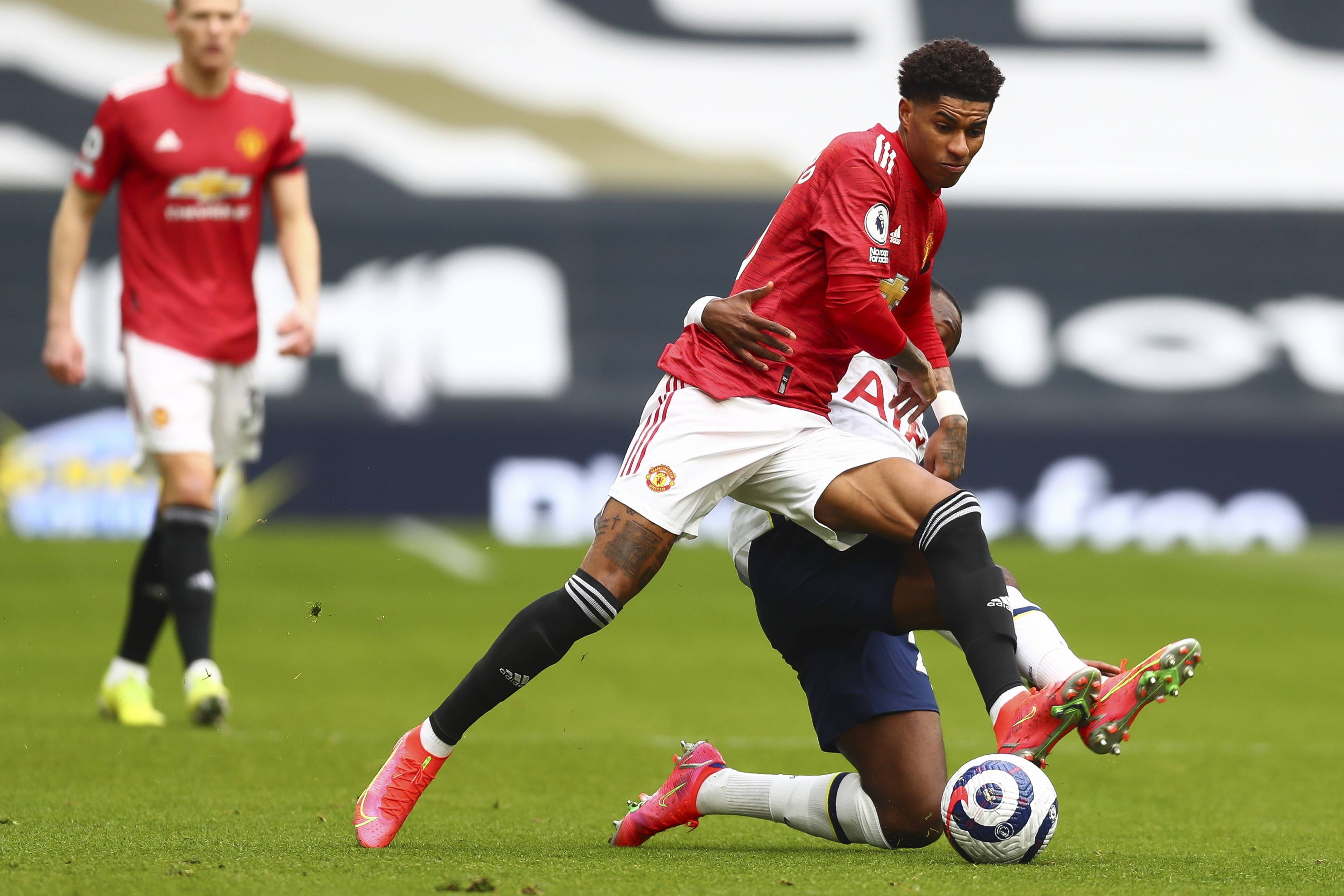 不仅展示出 不仅展示出